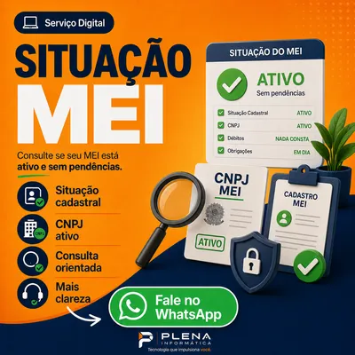 Situação MEI